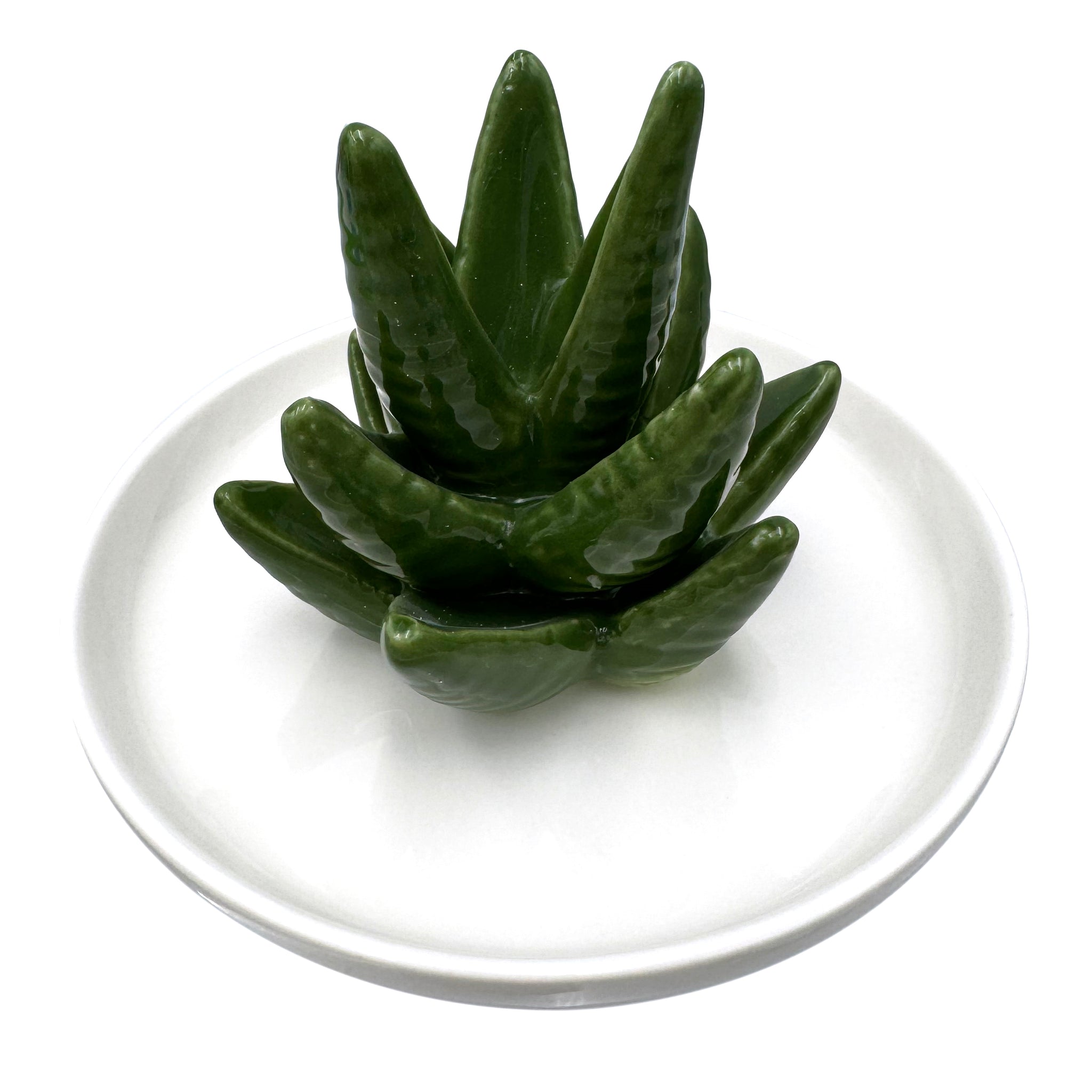 Aloe Agave Cactus Circle Disc Jewelry Dish